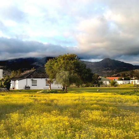 Harry'S Place Guesthouse Kamieskroon Εξωτερικό φωτογραφία