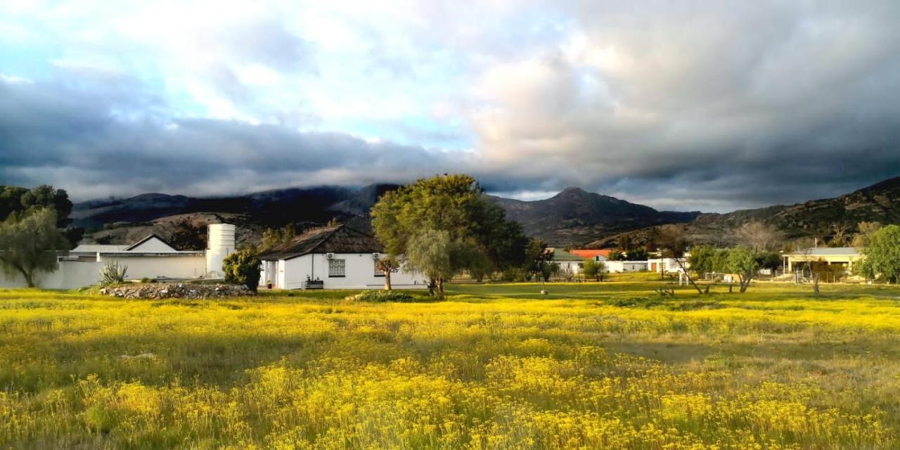 Harry'S Place Guesthouse Kamieskroon Εξωτερικό φωτογραφία
