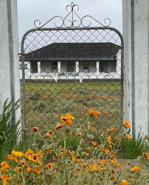Harry'S Place Guesthouse Kamieskroon Εξωτερικό φωτογραφία